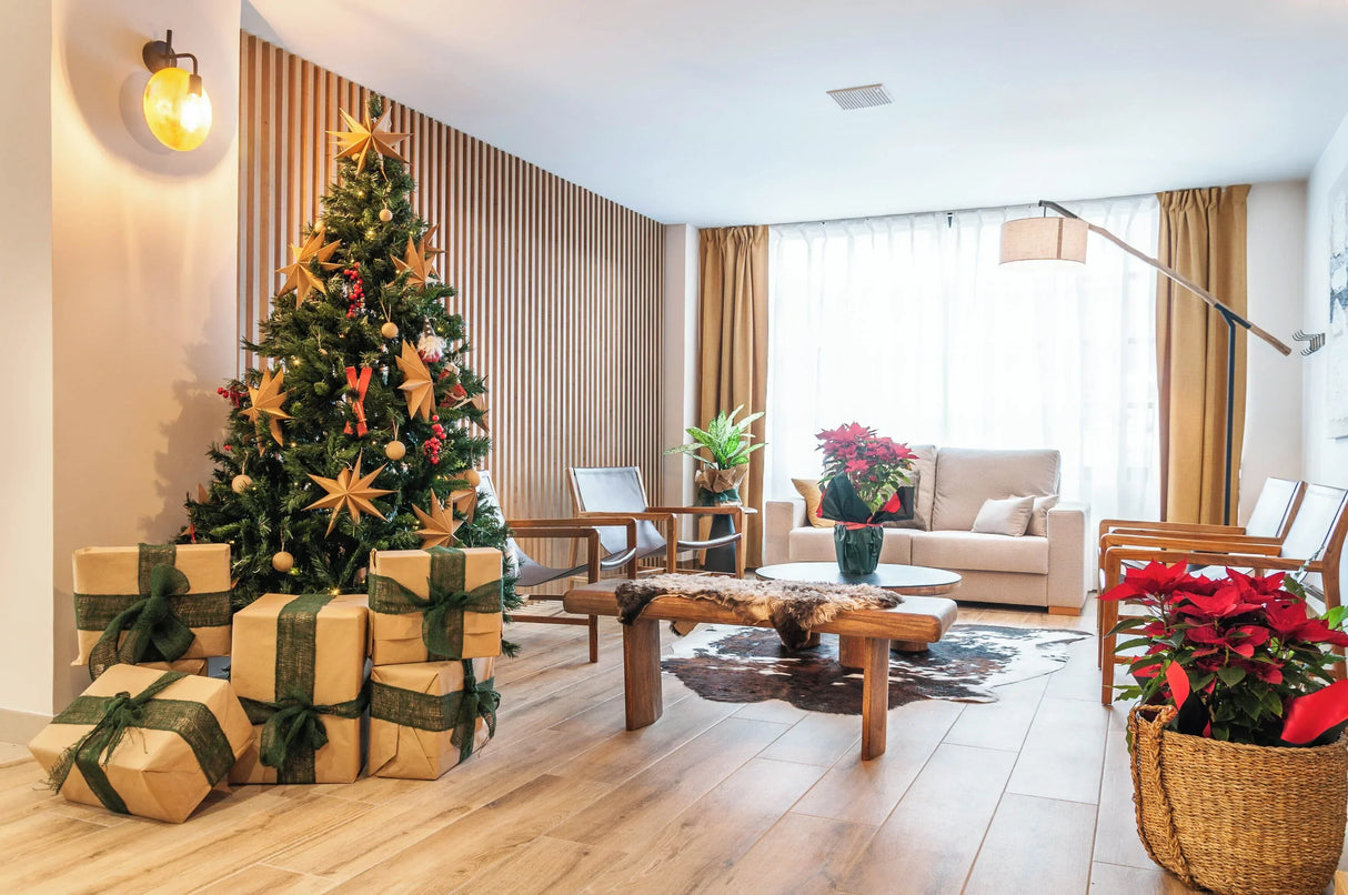 Hotel Viella - -CaranvaSports - temporada 2026