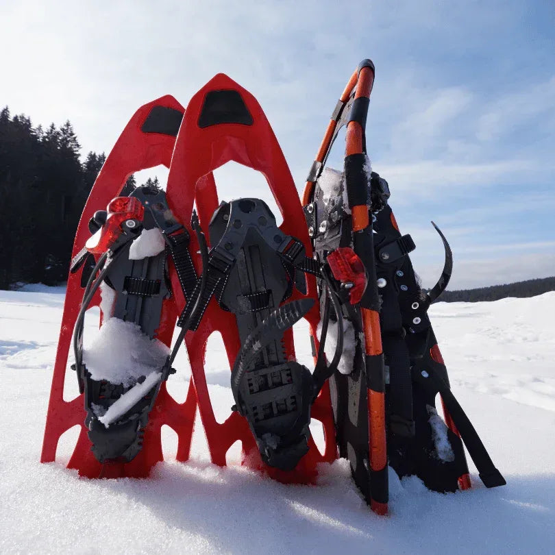 Alquiler Esquís Arinsal - Pal Vallnord - Raquetas / Iniciación / Completo -CaranvaSports - temporada 2026