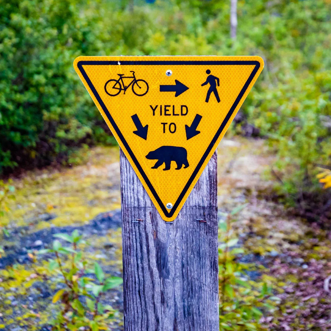 Alquiler Bicis Senda del Oso - - Caranva