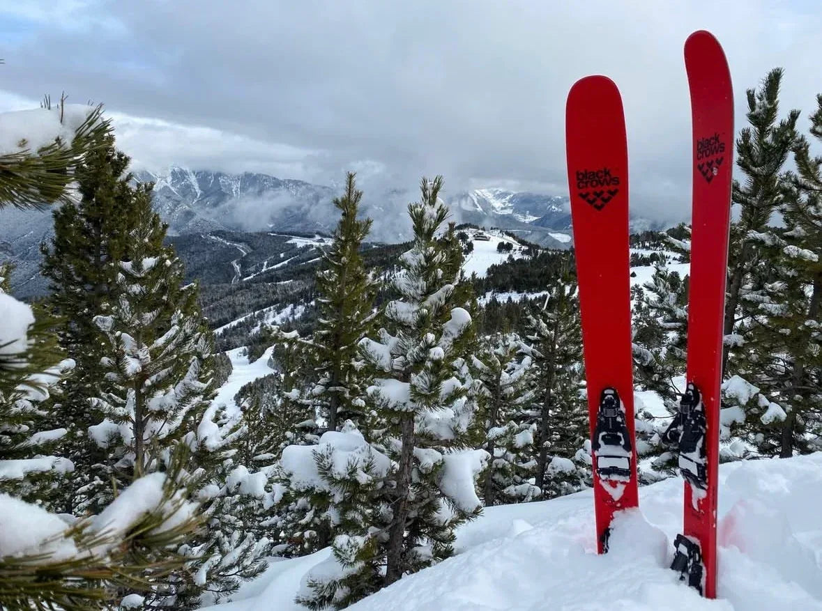 Alquiler Esquís Pal Arinsal - Esquí / Gold / Esquís - Caranva