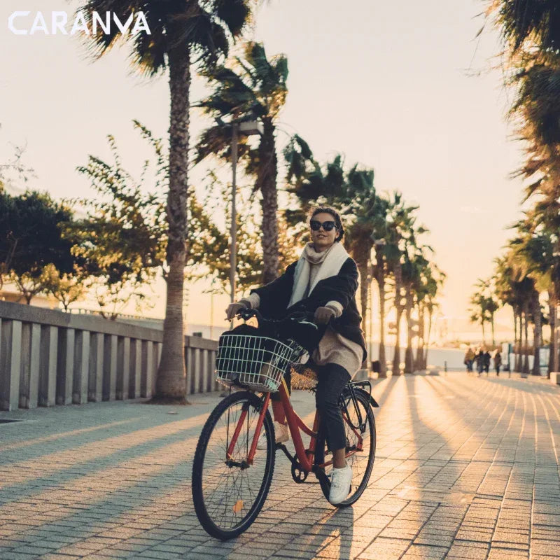 Alquiler Bicicletas Valencia - 30 minutes - Caranva