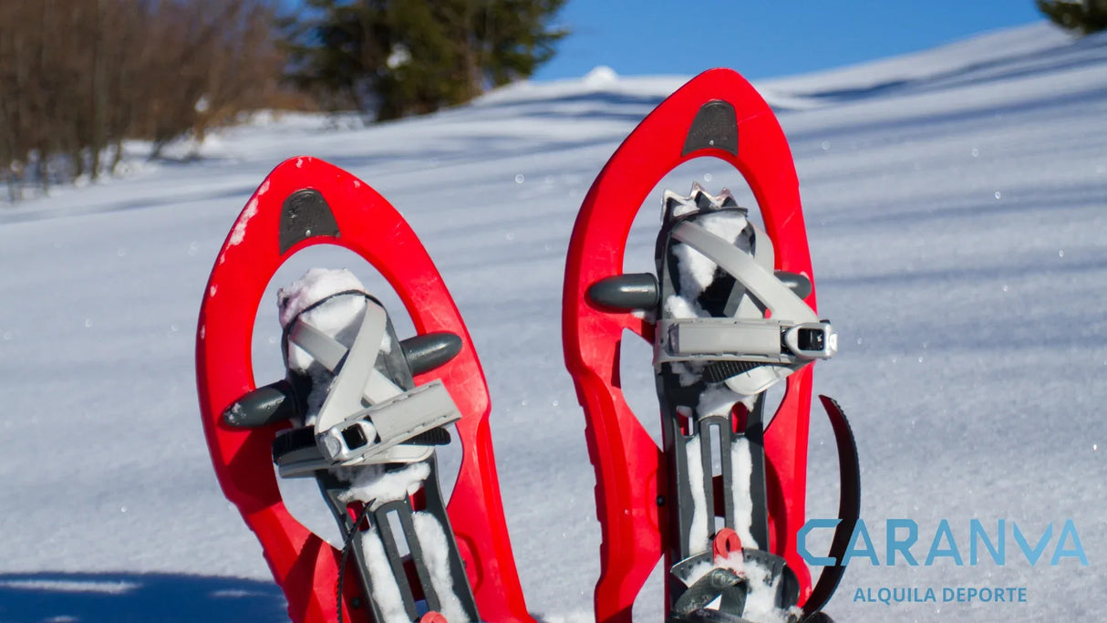 Alquiler Esquís El Tarter Andorra - Raquetas / Intermedio / Completo - Caranva